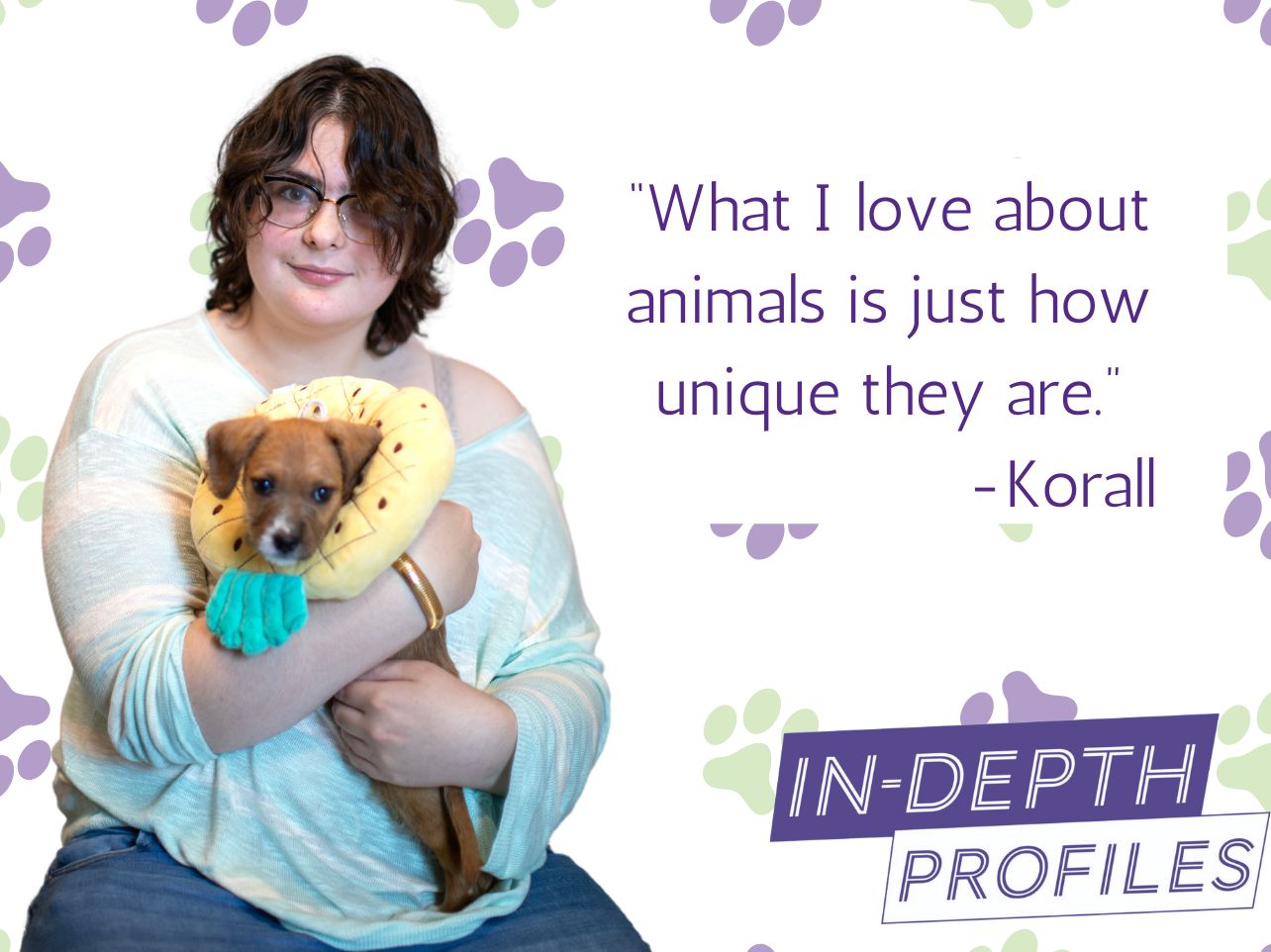 Korall animal quote.jpg